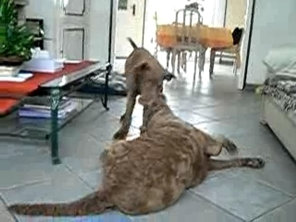 Maman viens jouer avec moi