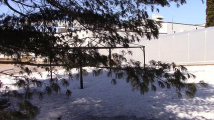 fromagerie de saint raymond