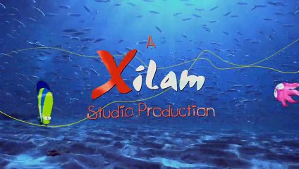 Zig & Sharko - Best of Bernie Compilation _ HD