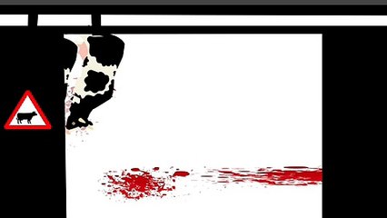 Stop aux violences faites aux animaux (vidéo de sensibilisation)