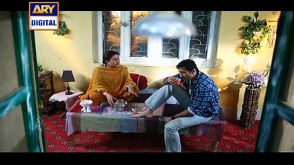Watch Shehzada Saleem Episode – 41 – 4th April 2016 on ARY Digital