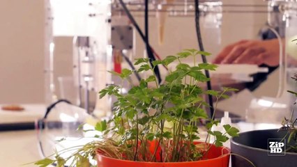 Amazing Technology | Top 3 Best Food 3D Printer You Should Have