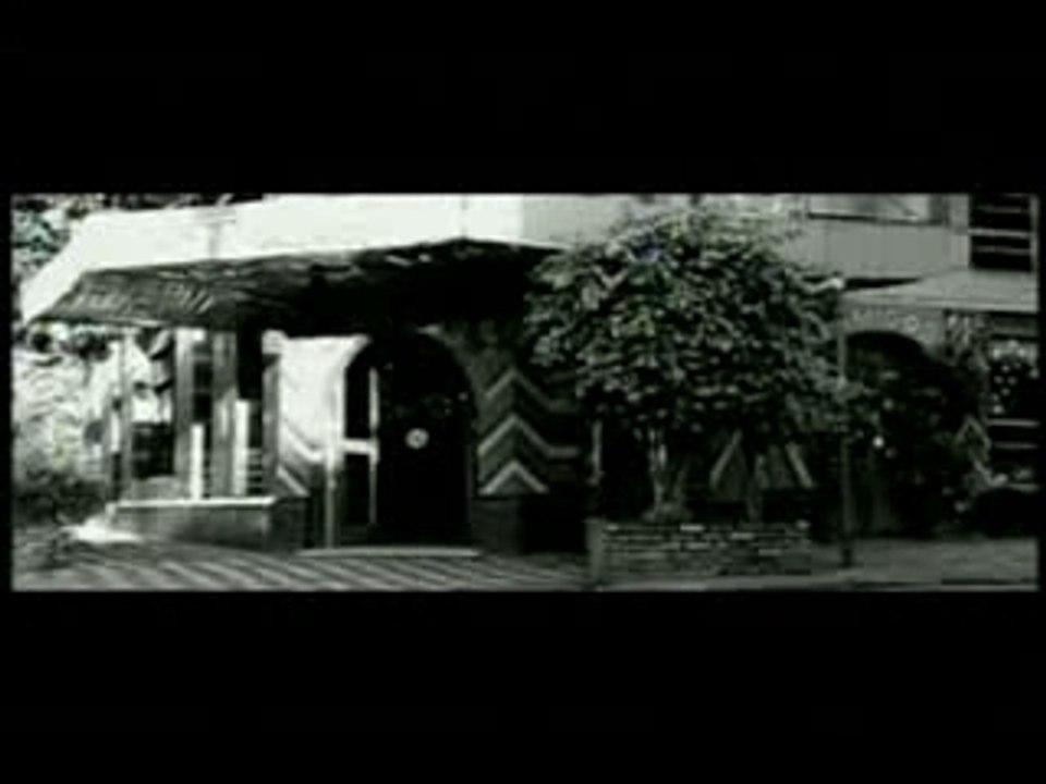 Bacilos - Guerras Perdidas