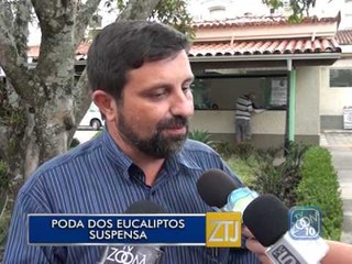 24-02-2015 - PODA DOS EUCALIPTOS SUSPENSA - ZOOM TV JORNAL