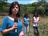 Governo de Minas incentiva produção de flores nativas na região de Diamantina.