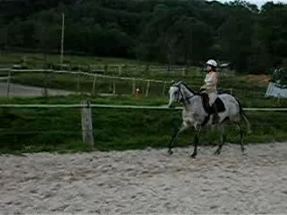 contre galop G 07 06 07
