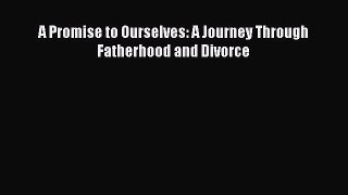 Read A Promise to Ourselves: A Journey Through Fatherhood and Divorce Ebook Free