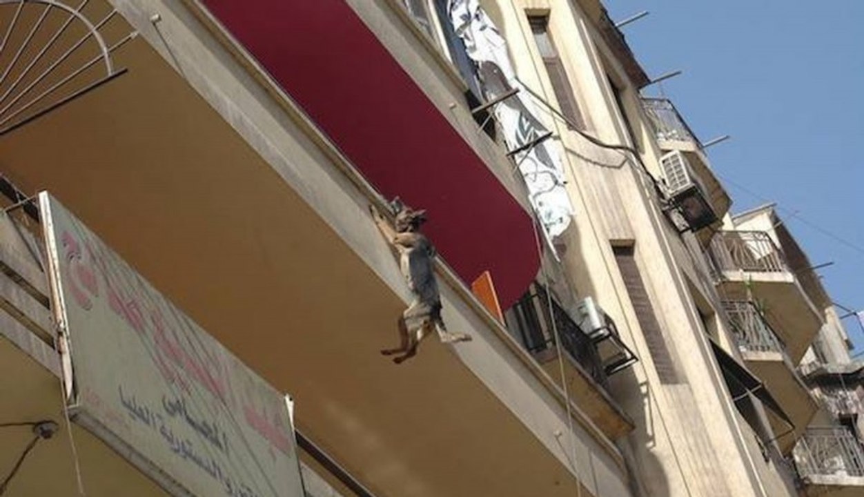 Pas koji je preživio nemoguće