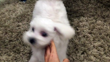 동대문구출장안마／／0I0＊9907＊OOIO／／선입금없는 출장맛사지／／동대문구출장마사지