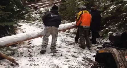 Quand Régis pousse un arbre en forêt