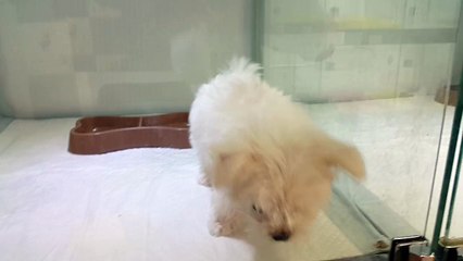 강남구출장마사지／／0I0＊9907＊OOIO／／선입금없는 출장맛사지／／강남구출장안마