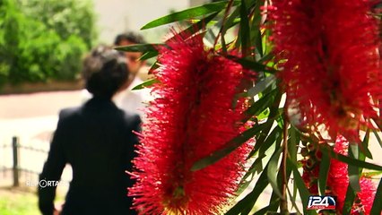 Maladies génétiques: la science face à la tradition | Reportage - 04/04/2016