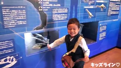 恐竜 の森 パーク DINOSAUR ジュラグーナ 遊園地 こどもとお出かけ family fun amusement Theme Park