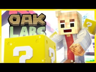 Minecraft Oak Labs! "LUCKY PACKAGE!!" (Minecraft Mods)