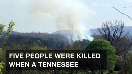 Five people killed in Tennessee sight-seeing helicopter crash