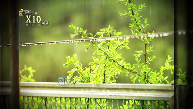 160404 프라임 동우 당일 예고 컷