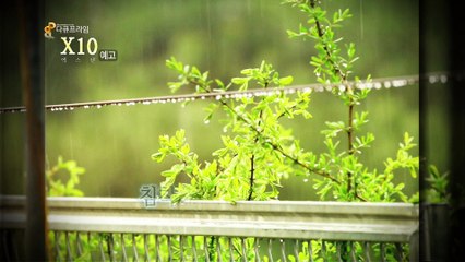 160404 프라임 동우 당일 예고 컷