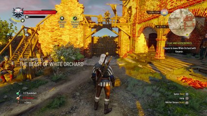 WITCHER 3 DEATH MARCH! WALKTHROUGH 20 - SEXY YENNEFER CUTSCENE & VIZMA