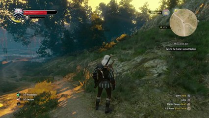WITCHER 3 DEATH MARCH! WALKTHROUGH 23 - WILD AT HEART