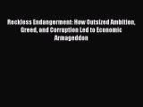 Read Reckless Endangerment: How Outsized Ambition Greed and Corruption Led to Economic Armageddon