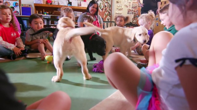 Faire sourire les gens... avec des chiots trop mignons !