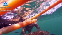 صيد غوص هوامير بحر العرب - احمد مندي grouper spearfishing in arabian sea