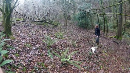 Chasse Bécasse en BZH au Calibre 410, le 5 Février 2016