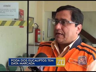 07-01-2014 - PODA DOS EUCALIPTOS - ZOOM TV JORNAL