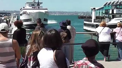 Whale Watching Boat Crashing Into San Diego Dock