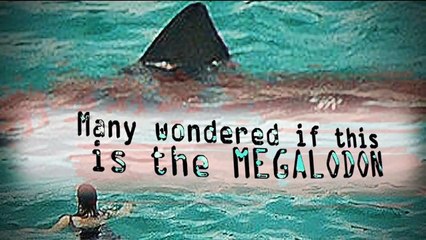 Megalodon Shark Caught on Tape 2016 Carcass Found in Persian Gulf Fisherman Catch Monster