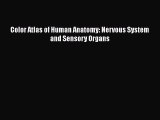 PDF Color Atlas of Human Anatomy: Nervous System and Sensory Organs  Read Online