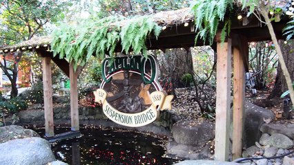 Capilano Suspension Bridge