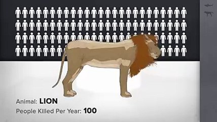 The World  Deadliest Animals