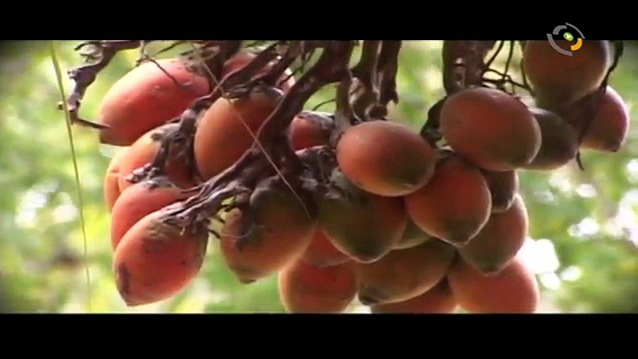 Rajan_Vinitha wedding Highlights