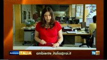 La letale discarica sulla falda di Corigliano d'Otranto su Ambiente Italia