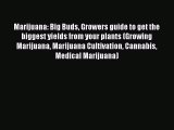 Read Marijuana: Big Buds Growers guide to get the biggest yields from your plants (Growing