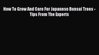 Read How To Grow And Care For Japanese Bonsai Trees - Tips From The Experts Ebook Online