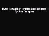 Read How To Grow And Care For Japanese Bonsai Trees - Tips From The Experts Ebook Online