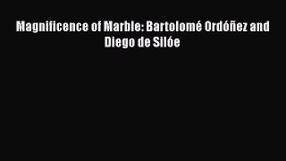 PDF Magnificence of Marble: Bartolomé Ordóñez and Diego de Silóe  Read Online