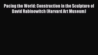 PDF Pacing the World: Construction in the Sculpture of David Rabinowitch (Harvard Art Museum)