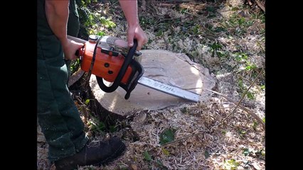 JBZ Tree Experts Inc - (770) 318-9437