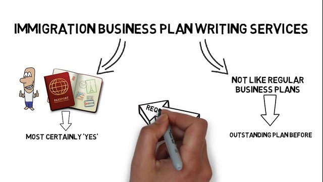 Immigration Business Plan – Don’t Take A Risk, Hire A Professional Immigration Business Plan Writer