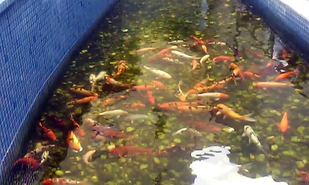 20160302_154546