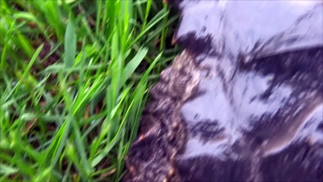 HUGEZILLA: Turtle By Day, Bullied Monster by Night The HUGE Campaign's Anti-Bullying Spoof