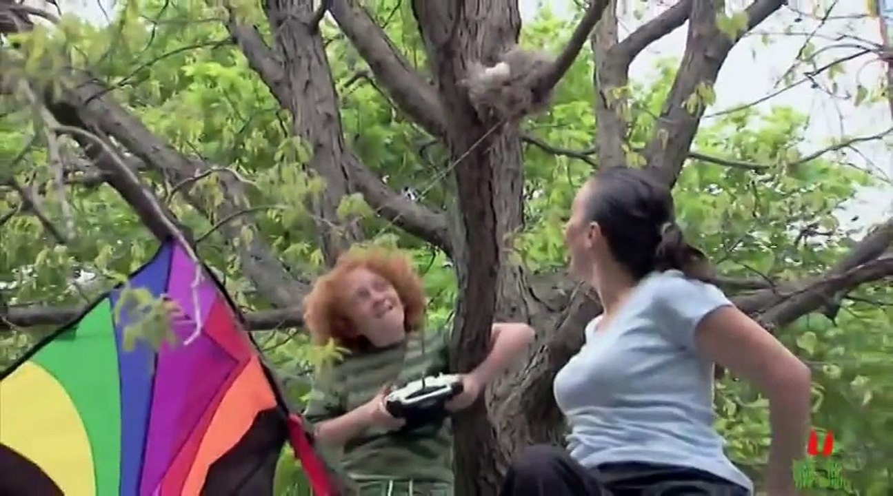 TOP FUNNY VIDEOs 2 MINUTE (480p)