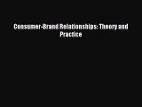 Read Consumer-Brand Relationships: Theory and Practice PDF Online