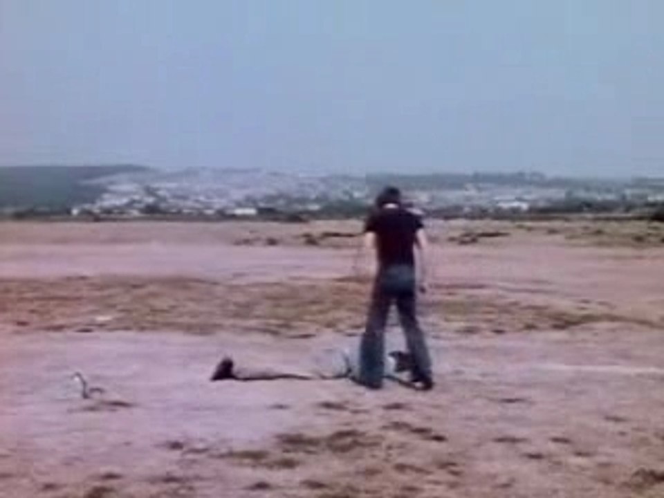 Attention-La-Tete-Koreus