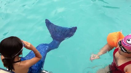 Người Cá Chuyên Bán Đồ Bơi Người Cá Merman Tiun