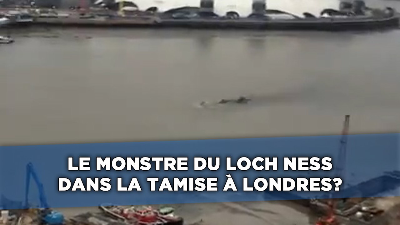 Le monstre du Loch Ness dans la Tamise à Londres?