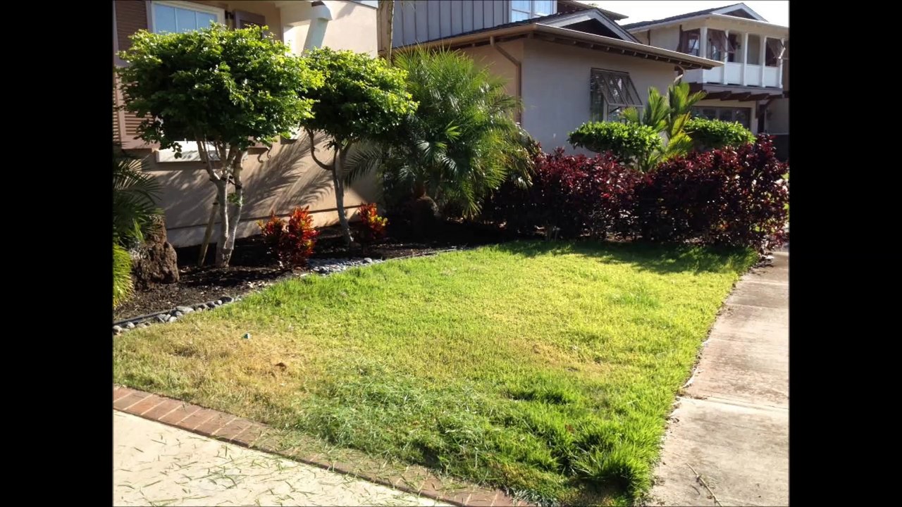 808 Lawn Service - (808) 638-4032